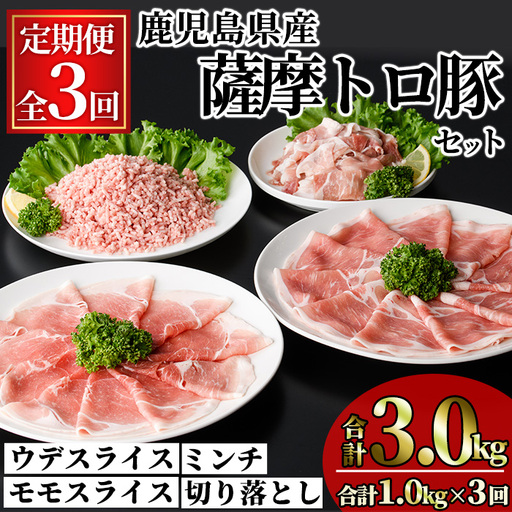 [定期便・全3回]鹿児島県産 薩摩トロ豚 モリモリ おためしパック(合計3.0kg・1.0kg×3回) [KNOT]T79