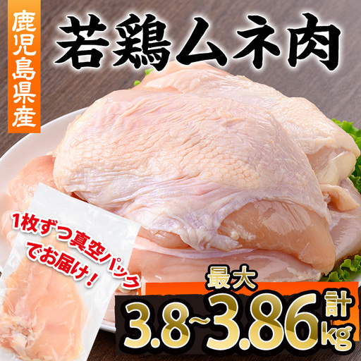 鹿児島県産 若鶏 ムネ肉 不定貫(計3.8〜最大3.86kg・300〜350g×12~14P) 鹿児島県 若鶏 鶏肉 [株式会社羽根]A1094
