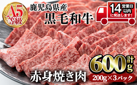 鹿児島県産黒毛和牛(A5等級)赤身焼肉セット 合計600g(200g×3パック) 赤身 焼肉 牛肉【カミチク】A-227