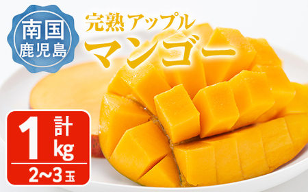 ＜先行予約受付中・2025年6月上旬～7月中旬頃発送予定＞＜数量限定＞完熟アップルマンゴー「紅」(計1kg) マンゴー 果物 フルーツ【大徳産業】 A389-v01