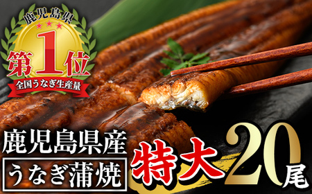 鹿児島県産うなぎ蒲焼セット[特大](計3.2kg・ 約160g×20尾) タレ・山椒付き 鰻 ウナギ 国産[西日本養鰻]E13