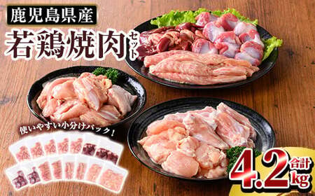 鹿児島県産 若鶏焼肉セット (合計4.2kg)[TRINITY] 霧島市 国産 冷凍 真空パック 小分け 鶏肉 鳥肉 詰め合わせ