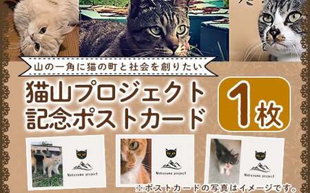 猫山プロジェクト記念ポストカード(1枚)[chichinpuipui王国★猫山プロジェクト]霧島市 支援 応援 猫 動物