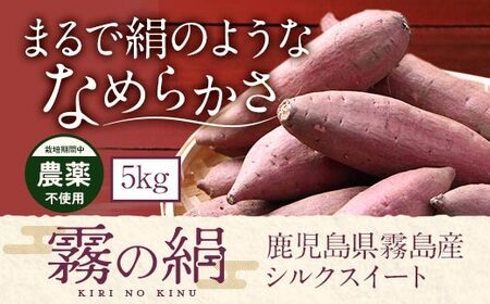 K-278-B ss\tI2025N12{`2026N3{ɔ\t̂܂ǔv5kgyI[Khzs ܂ Tc}C ܈  VNXC[g 