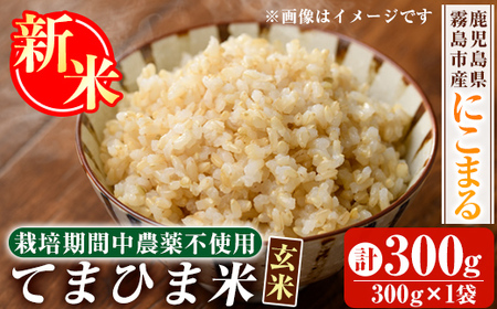 K-391-A [令和6年産・新米]てまひま米・玄米(品種:にこまる)(計300g:300g×1袋)[末蜜農園]霧島市 お米 玄米 米 こめ コメ ご飯 ごはん 定期便 栽培期間中農薬不使用