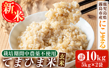 K-391-C ߘa7NYV s\tI2025N12ȍ~\聄Ă܂ЂܕāE(i:ɂ܂)(v10kg)y_zs     R  ͂  ͔|Ԓ_