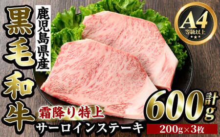 K-318-B YјaA4ȏい~T[CXe[L(600g)yr[tqzs  Xe[L Xe[L Y Y јa   