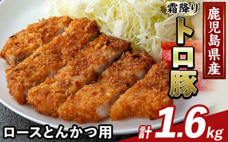 K-382-C Y~g [XƂ񂩂p(v1.6kg)yӂ邳ƎYoU[zs [X ؃Jc gJc ؓ Y Y   