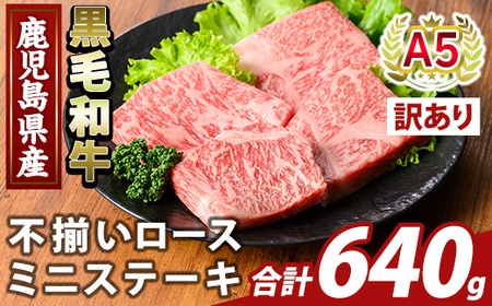 K-479-C 󂠂聄YA5јas[X~jXe[L(v640g) yӂ邳ƎYoU[zs  Y Y Ԑg s PA [X Xe[L  