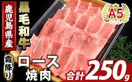 K-482-A 鹿児島県産A5等級黒毛和牛霜降り上ロース焼肉(計250g)[ふるさと産直バザール]霧島市 牛肉 国産 鹿児島県産 ロース 焼肉 肉 精肉