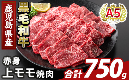K-483-C YA5јaԐgヂē(v750g)yӂ邳ƎYoU[zs  Y Y  ē  