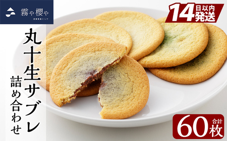 C-086-B ۏ\Tulߍ킹(12×5 v60)ydقƂzs Tu Tu Ƃ Ȃ߂炩 }Ch َq ĉَq  yY 蕨 yY `R[g zC