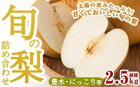 [先行予約受付中!2025年8月中旬〜10月上旬の間に発送予定]梨詰め合わせ(約2.5kg前後)[さくら農園]なし 梨 豊水 フルーツ 果物 期間限定