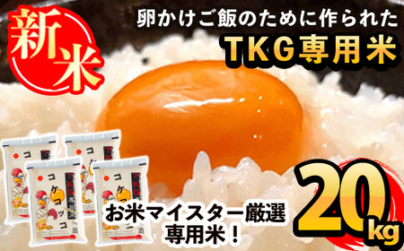 D-052 sߘa7NYV s\tI2025N11ȍ~\t{Iѐp!RPRbR(TKGp)v20kg(5kg×4pbN)yRēXz      R
