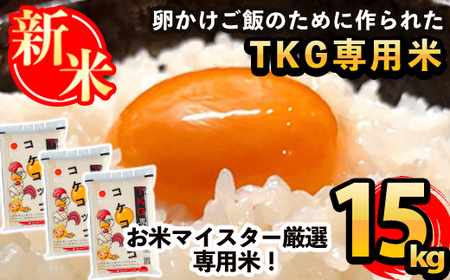 C-062 sߘa7NYV s\tI2025N11ȍ~\t{Iѐp!RPRbR(TKGp)v15kg(5kg×3pbN)yRēXz      R
