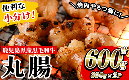 鹿児島県産黒毛和牛ホルモン 丸腸 約600g(300g×2P) 国産 鹿児島県産 黒毛和牛 モツ もつ鍋 焼肉 ホルモンミックス お取り寄せ 冷凍 生冷凍[A-1739H]