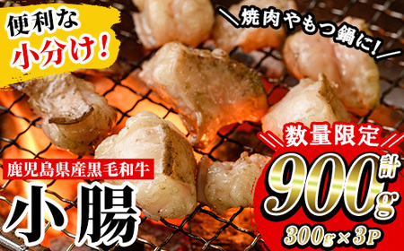 [数量限定]鹿児島県産黒毛和牛の小腸 ホルモン 900g(300g×3P) 国産 鹿児島県産 黒毛和牛 モツ 生ホルモン 生冷凍ホルモン お取り寄せ[L-003H]