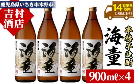 芋焼酎「海童」900ml×4 本25度 濵田酒造 人気 の 鹿児島 本格芋焼酎! 芳醇軽快[A-1306H]