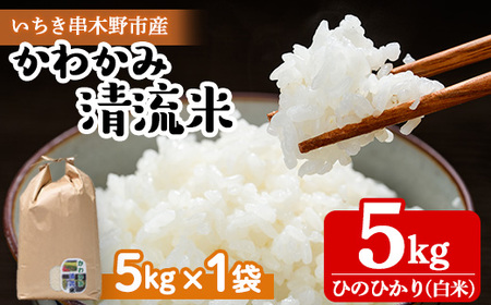 [令和6年度 新米 [10月中旬より発送]]米 5kg(5kg×1袋)かわかみ清流米(ひのひかり) 令和6年 鹿児島県産 農家直送 新米 米 白米 5kg 袋 ひのひかり 備蓄 や 贈答 にもオススメ![A-1761H]