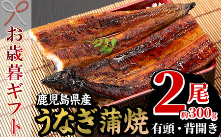 [令和6年お歳暮対応]厳選!国産 鹿児島県産 うなぎ蒲焼 2尾 約300g! 鰻養殖生産量日本一 鹿児島県産新仔うなぎ使用 こだわりの地焼き! 冷凍 秘伝のタレ 付き うな重 うな丼 きざみ鰻 せいろ蒸し弁当にもオススメ! 贈答 ギフト にも![南竹加工][SA-287H]