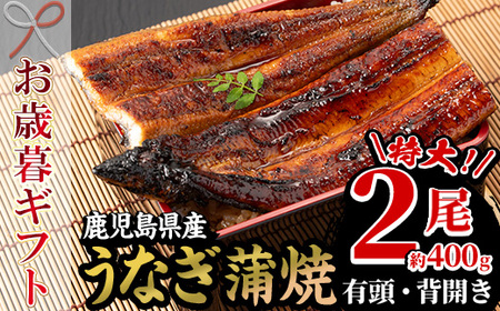 [令和6年お歳暮対応]厳選! 国産 鹿児島県産 うなぎ 蒲焼 特大 2尾 約400g 鰻養殖生産量日本一 鹿児島県産新仔うなぎ使用 こだわりの地焼き! 冷凍 秘伝のタレ 付き うな重 うな丼 きざみ鰻 せいろ蒸し弁当にもオススメ! 贈答 ギフト にも![南竹加工][SB-035H]