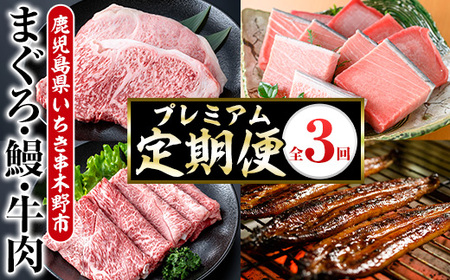 [3ヶ月定期便]いちき串木野プレミアム定期便(マグロ・鰻・牛肉)[PT-003H]