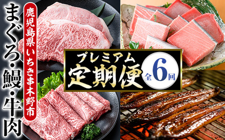 ＜6ヶ月定期便＞いちき串木野プレミアム定期便（マグロ・鰻・牛肉）【PT-004H】