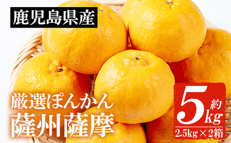 [先行予約]＼数量・期間限定/本格貯蔵 ぽんかん 薩州薩摩 約5kg 糖度12度以上 クエン酸0.9%以下 カラーチャート9以上 の厳しい基準をクリアしたブランド品! 果樹[A-2021H]