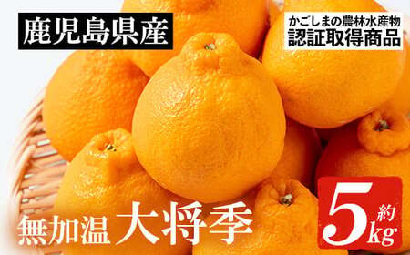 [先行予約・1月中旬頃から発送]JAさつま日置いちき串木野産無加温大将季 約5kg 不知火(デコポン)の枝変わり新品種![A-2003H]