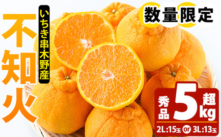 ＼数量・期間限定／池之上果樹園の”旬”の不知火（しらぬい） 5kg 超え（3L13玉または2L15玉）秀品 産直 農家直送 濃厚 デコポン と 同品種 フルーツ 柑橘 みかん 【A-814H】