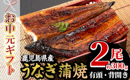 [令和7年お中元対応]厳選!国産 鹿児島県産 うなぎ蒲焼 2尾 約300g! 贈答 ギフト にも![南竹鰻加工][TA-300H]