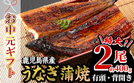 [令和7年お中元対応]厳選! 国産 鹿児島県産 うなぎ 蒲焼 特大 2尾 約400g 贈答 ギフト にも![南竹鰻加工][TB-036H]