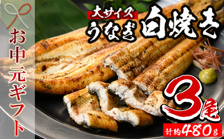 [令和7年お中元対応]厳選! 国産 鹿児島県産 うなぎ 白焼き 大 3尾 約480g 贈答 ギフト にも![南竹鰻加工][TB-037H]