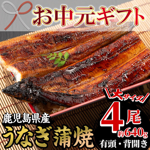 【お中元】 国産 うなぎ 蒲焼 4尾 大 合計約640g うなぎ 【00-025-17-R8OC】