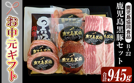 [令和7年お中元期間限定]鹿児島 黒豚 ハム 5種 セット(黒豚ロースハムスライス 55g×2 ベーコンスライス80g×2 ウインナー 100g×2 炭火焼豚 225g 角煮 250g)(B-22)[TA-256H]