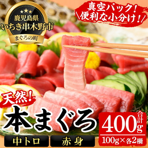 天然 本マグロ 中トロ 100g×2 赤身 100g×2 計400g 食べ比べ 小分け柵セット[B-392H]