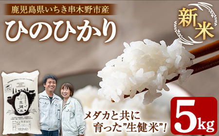 [数量限定 令和7年産 新米]メダカと共に育ったお米5kg!(5kg×1)九州 鹿児島県産 農家直送 の 新米 米 白米 5kg袋×1 ひのひかり 備蓄 や 贈答 にも! [A-1968H]