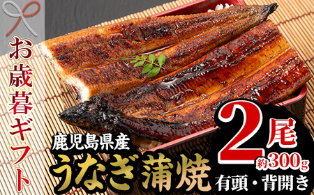 [令和7年お歳暮対応]厳選!鹿児島県産 うなぎ蒲焼 2尾 約300g!国産 贈答 ギフト にも![南竹鰻加工][SA-313H]