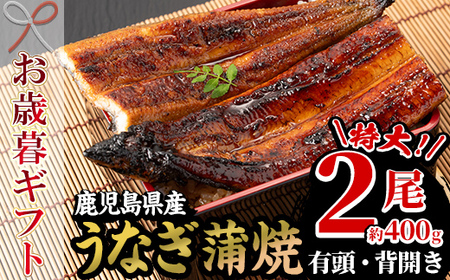 yߘa7NΕΉzII Y Y Ȃ    2 400g  Mtg ɂIy|VHzySB-038Hz