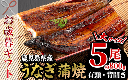 [令和7年お歳暮対応]厳選!国産 鹿児島県産 うなぎ 蒲焼 大5尾 合計約800g 贈答 ギフト にも![南竹鰻加工][SD-007H]