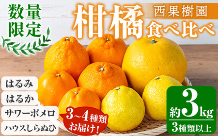 ＼柑橘の宝石箱/西果樹園の柑橘食べ比べセット (約3kg サイズ:M〜3L・3種類以上) (はるみ・しらぬい・はるか・サワーポメロ) 特産品 幸せの黄色い果実[期間限定・数量限定] [A-2070H]