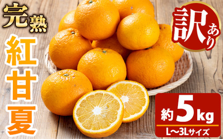 新登場![訳アリ] 完熟 紅甘夏 約5kg L〜3Lサイズ サイズ不揃い 満杯 箱詰め バラ詰め 池之上果樹園[数量・期間限定][A-1887H]