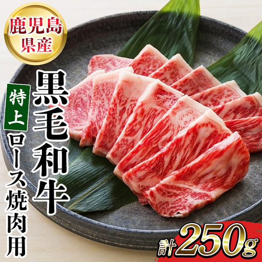 鹿児島県産 黒毛和牛 特上ロース 250g 牛肉[00-030-30]