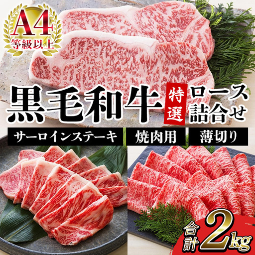 サーロイン ステーキ 250g×4枚 ロース 1kg 詰合せ 鹿児島県産 黒毛和牛 牛肉 【00-030-37】　