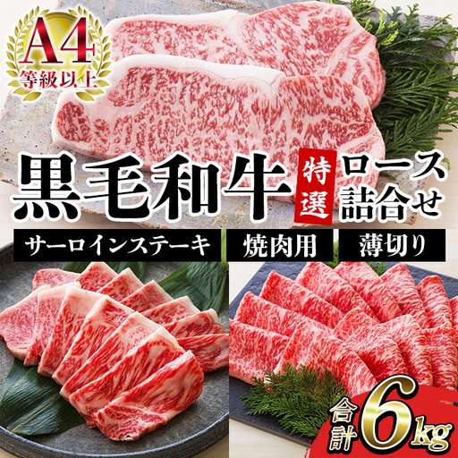 牛肉 6kg 詰合せ 鹿児島県産 黒毛和牛 牛肉【00-030-39】