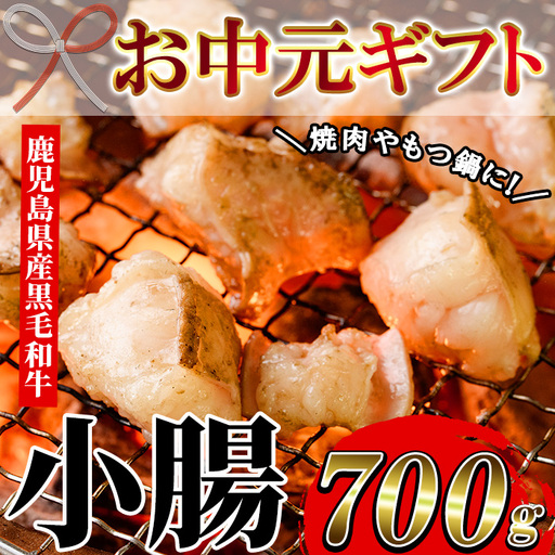 [お中元]鹿児島県産 黒毛和牛 小腸 ホルモン 700g 小腸 ホルモン[00-030-08-R8OC]