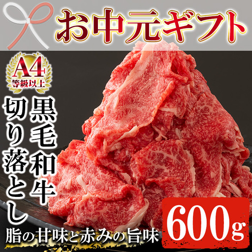 [お中元]牛肉 鹿児島県産 切り落とし 約600g 牛肉 [00-030-11-R8OC]