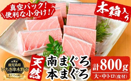 贈答用に!天然高級マグロ刺身 南マグロ刺身 本マグロ刺身 マグロ刺身 大トロ中トロ合計800g超(木箱入り)[E-125H]