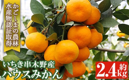 [先行予約!]JAさつま日置農協のハウスみかん 鹿児島県産のみかん約2.4kg(化粧箱入みかん25玉・30玉・36玉)[A-1919H]