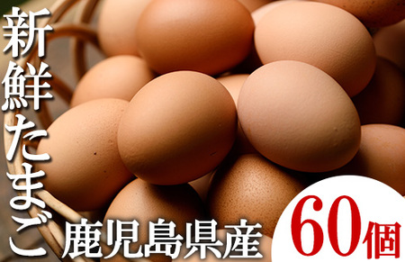薩摩ヤブサメ酵素卵 60個入/「ヤブサメファーム」自家栽培 野菜の飼料で育った卵!自家配合 発酵飼料使用の卵!いちき串木野産 卵 [A-781H]